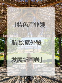 特色产业领航 绘就外贸发展新画卷