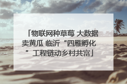 物联网种草莓 大数据卖黄瓜 临沂“四雁孵化”工程链动乡村共富