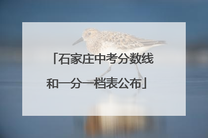 石家庄中考分数线和一分一档表公布