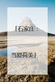 石家庄：当夏荷美