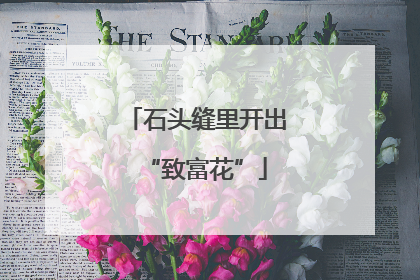 石头缝里开出“致富花”
