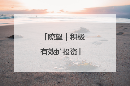 瞭望｜积极有效扩投资