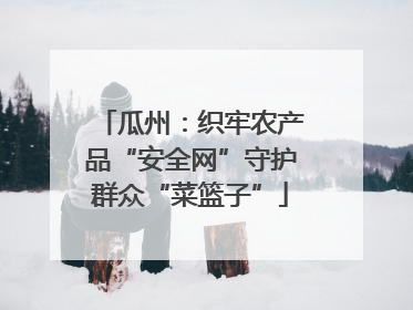 瓜州：织牢农产品“安全网”守护群众“菜篮子”