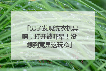男子发现洗衣机异响，打开被吓晕！没想到竟是这玩意