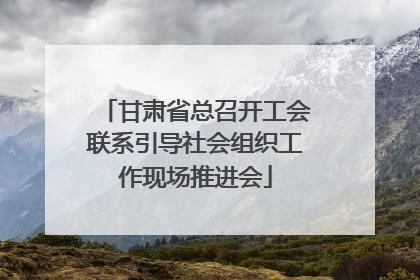 甘肃省总召开工会联系引导社会组织工作现场推进会
