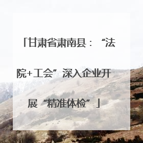 甘肃省肃南县：“法院+工会”深入企业开展“精准体检”