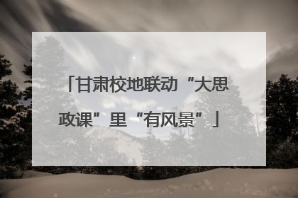 甘肃校地联动“大思政课”里“有风景”
