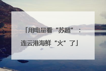 用电量看“苏超”：连云港海鲜“火”了