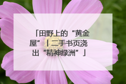 田野上的“黄金屋”丨二手书页浇出“精神绿洲”