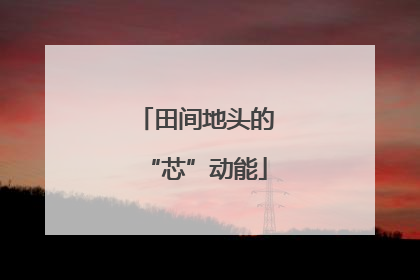 田间地头的“芯”动能