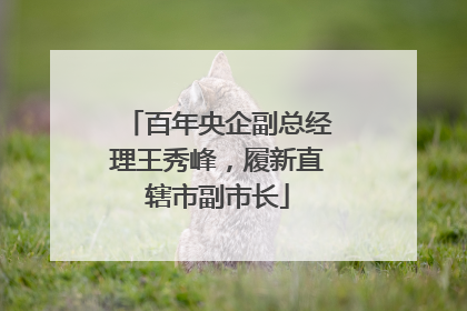 百年央企副总经理王秀峰，履新直辖市副市长