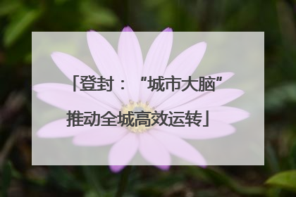 登封：“城市大脑”推动全城高效运转