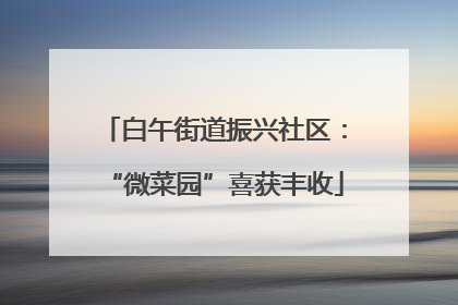 白午街道振兴社区：“微菜园”喜获丰收