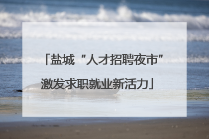 盐城“人才招聘夜市”激发求职就业新活力