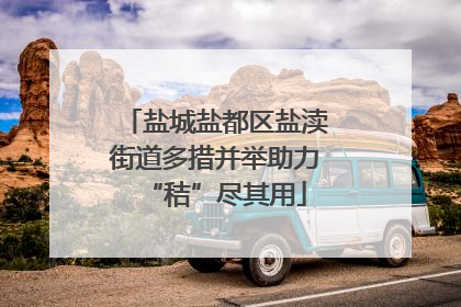 盐城盐都区盐渎街道多措并举助力“秸”尽其用