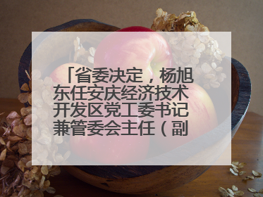 省委决定，杨旭东任安庆经济技术开发区党工委书记兼管委会主任（副厅级）