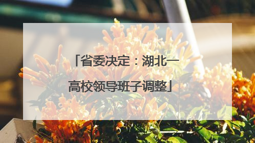 省委决定：湖北一高校领导班子调整