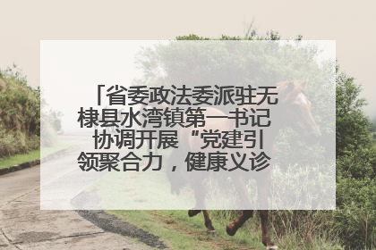 省委政法委派驻无棣县水湾镇第一书记 协调开展“党建引领聚合力，健康义诊惠乡亲”义诊活动
