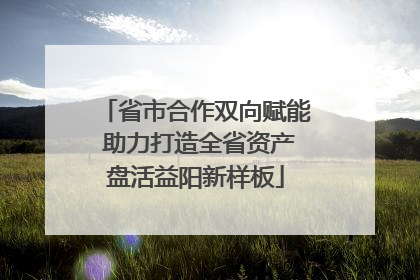 省市合作双向赋能 助力打造全省资产盘活益阳新样板
