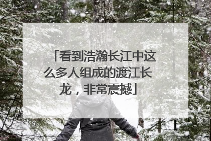 看到浩瀚长江中这么多人组成的渡江长龙，非常震撼