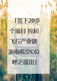 签下20多个项目 拉起飞行产业链 浙南低空C位呼之欲出