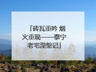 砖瓦重吟 烟火重现——泰宁老宅涅槃记