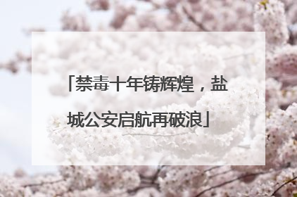 禁毒十年铸辉煌，盐城公安启航再破浪