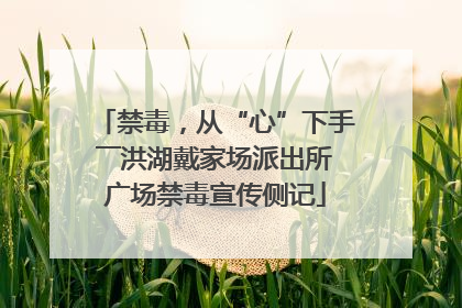 禁毒，从“心”下手――洪湖戴家场派出所广场禁毒宣传侧记