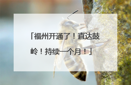 福州开通了！直达鼓岭！持续一个月！