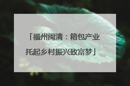 福州闽清：箱包产业托起乡村振兴致富梦