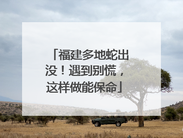 福建多地蛇出没！遇到别慌，这样做能保命