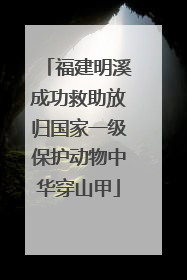 福建明溪成功救助放归国家一级保护动物中华穿山甲