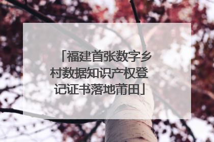 福建首张数字乡村数据知识产权登记证书落地莆田