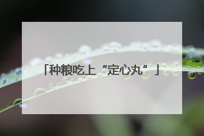 种粮吃上“定心丸”