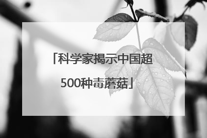 科学家揭示中国超500种毒蘑菇