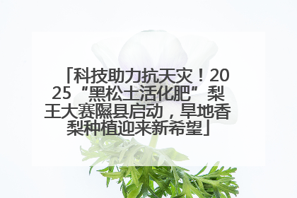 科技助力抗天灾！2025“黑松土活化肥”梨王大赛隰县启动，旱地香梨种植迎来新希望