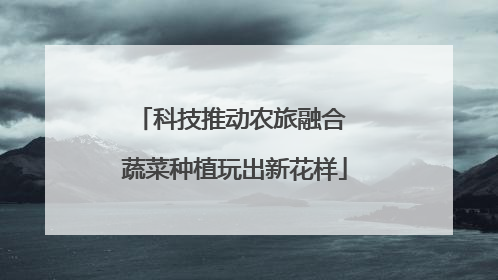 科技推动农旅融合 蔬菜种植玩出新花样