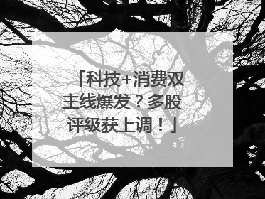 科技+消费双主线爆发？多股评级获上调！
