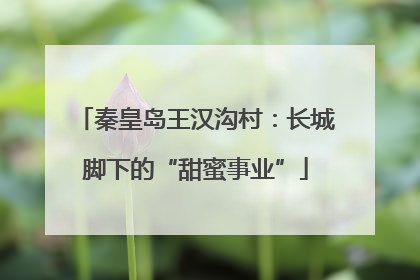 秦皇岛王汉沟村：长城脚下的“甜蜜事业”
