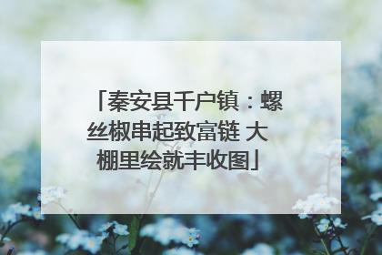 秦安县千户镇：螺丝椒串起致富链 大棚里绘就丰收图
