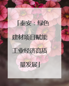 秦安：绿色建材项目赋能工业经济高质量发展