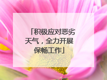积极应对恶劣天气，全力开展保畅工作