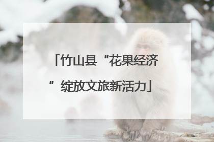 竹山县“花果经济”绽放文旅新活力