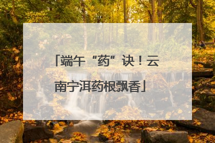 端午“药”诀！云南宁洱药根飘香