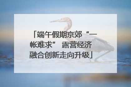 端午假期京郊“一帐难求” 露营经济融合创新走向升级