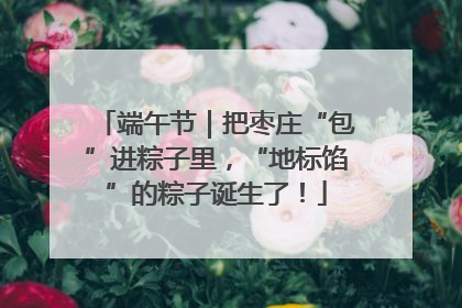 端午节｜把枣庄“包”进粽子里，“地标馅”的粽子诞生了！