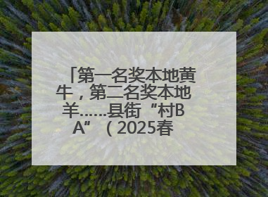 第一名奖本地黄牛，第二名奖本地羊……县街“村BA”（2025春季赛）圆满完赛