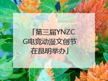 第三届YNZCG电竞动漫文创节在昆明举办