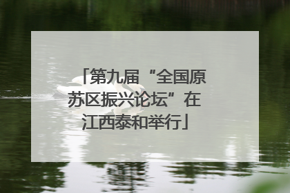 第九届“全国原苏区振兴论坛”在江西泰和举行