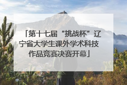 第十七届“挑战杯”辽宁省大学生课外学术科技作品竞赛决赛开幕